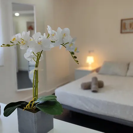 D4 Modern And Cozy Appartement *